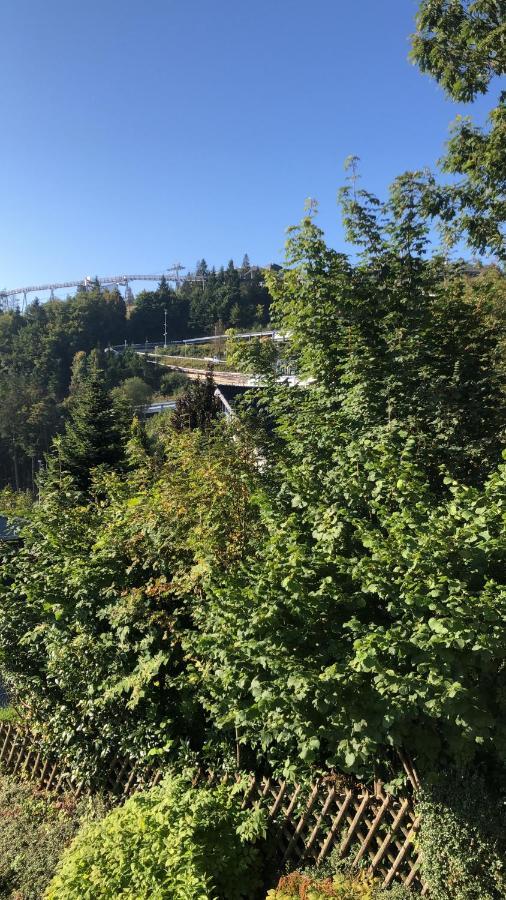 Veltins-Arena Fewo Buchenweg 27 Appartement Winterberg Dış mekan fotoğraf